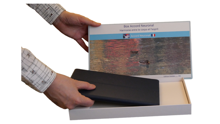 box Accord Neuronal